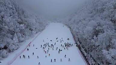 冬季滑雪运动实景航拍视频的预览图